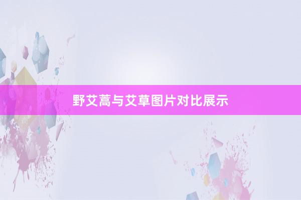 野艾蒿与艾草图片对比展示