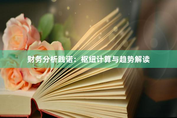 财务分析践诺：枢纽计算与趋势解读