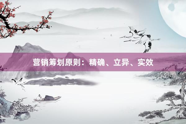 营销筹划原则：精确、立异、实效